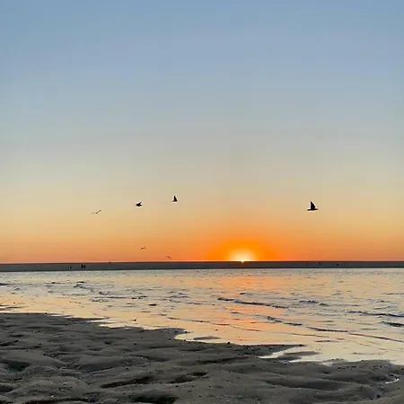 Cozy House Bbq & Terrace - Mada House's Vakantiehuis