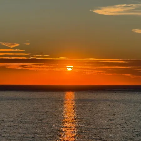 Cozy House Bbq & Terrace - Mada House's *